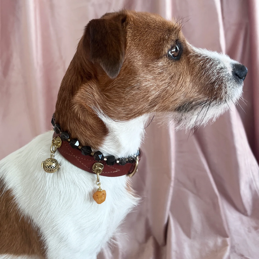 Unleash Cph Harmony Charm - Amber Stone // Vedhæng til hundehalsbånd