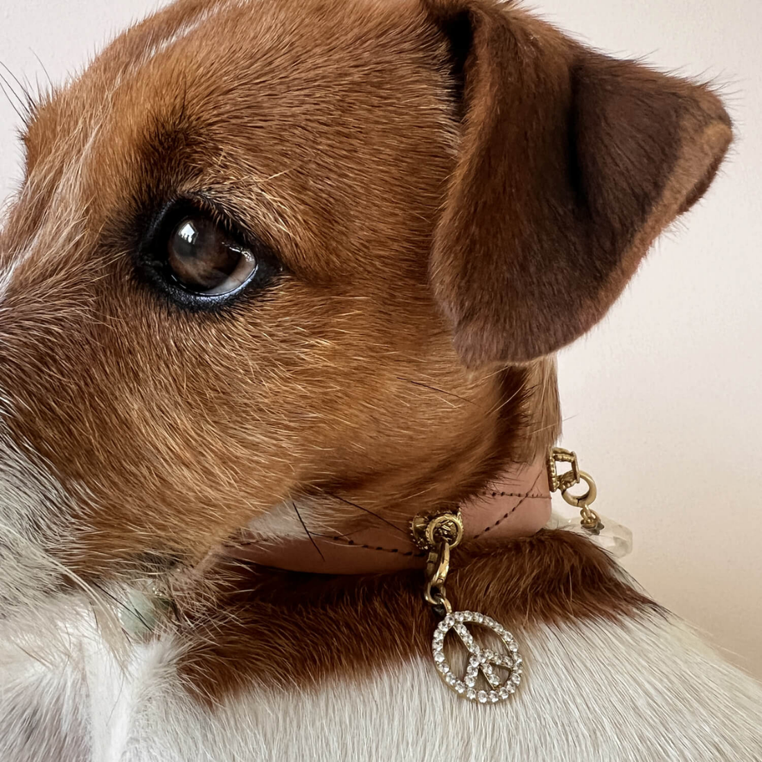 Unleash Cph Peace Charm // Vedhæng til hundehalsbånd