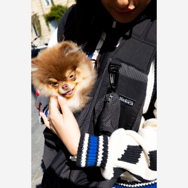 Weloca Carry Bag // Cross-body carrier bag for small dogs (black)