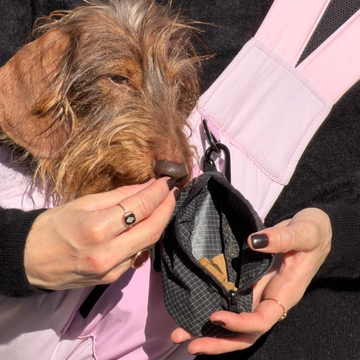 Weloca Treat Bag // Bag for treats, dog waste bags, etc. (black)