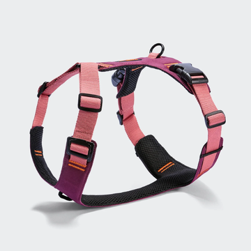 Cloud7 ACTIVE Y2 // Functional and adjustable Y-harness (aubergine)