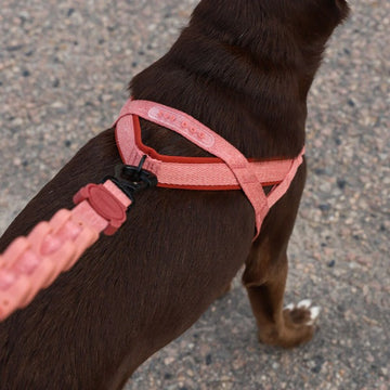 Zee.dog Canyon // No-pull dog harness (pink) Large