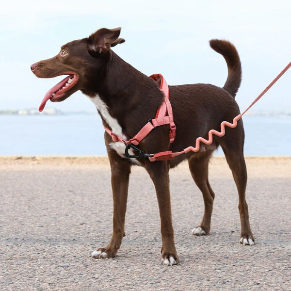 Zee.dog Canyon // No-pull dog harness (pink) Large
