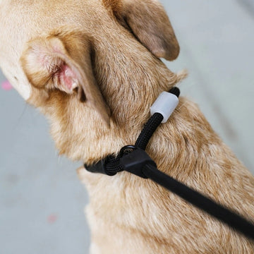 Zee.dog Slip Lead // Retriever line with stop (black)